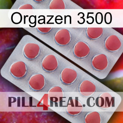 Orgazen 3500 19